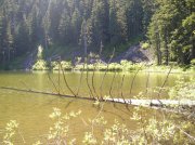 6.24-25.06 Memaloose Lake 051